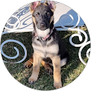 Donna-Jean Anderson profile picture